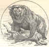 Ours.jpg (78068 octets)